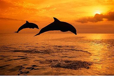 亚马逊游戏公布《魔戒》MMO游戏将登陆PC＆主机